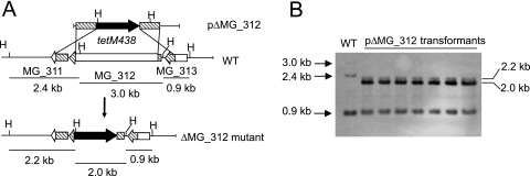 FIG. 1.