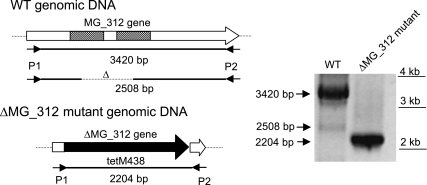 FIG. 6.