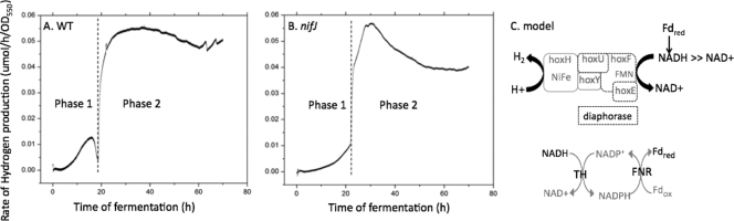 FIG. 5.