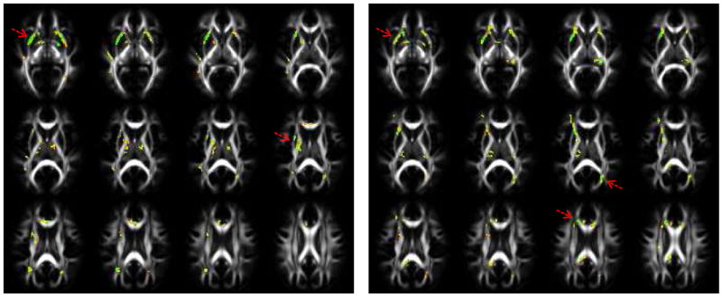 Fig.1