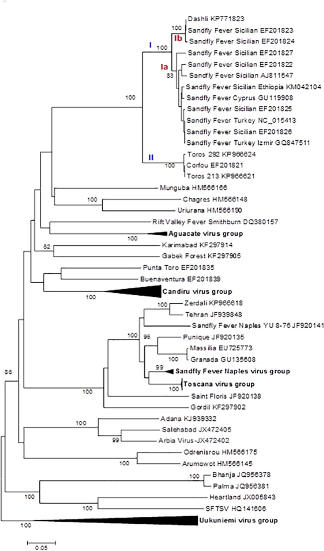 Fig 5