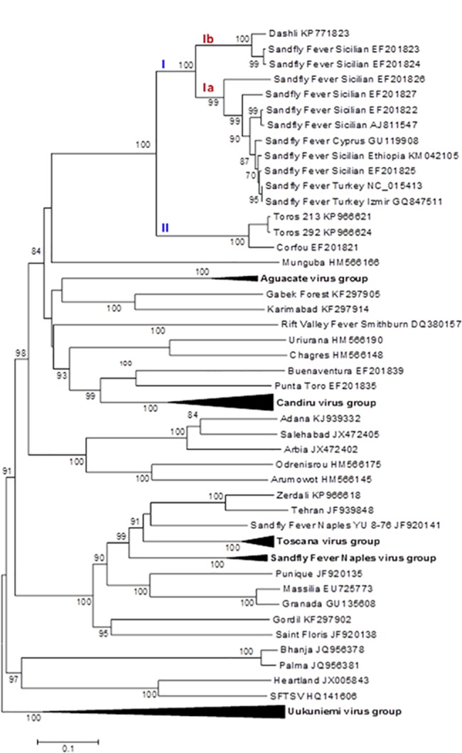 Fig 6