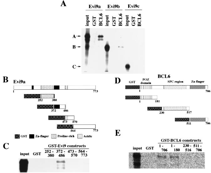 FIG. 8