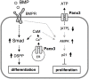 Fig 10