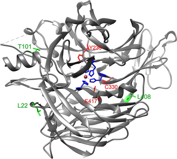 Fig. 2