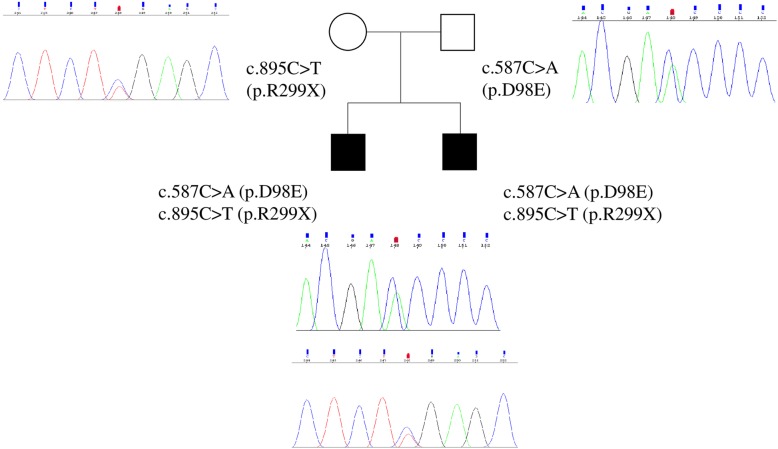 Fig. 1