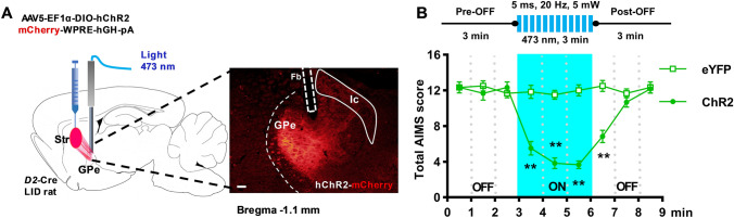 Fig. 6