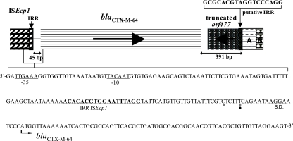 FIG. 2.