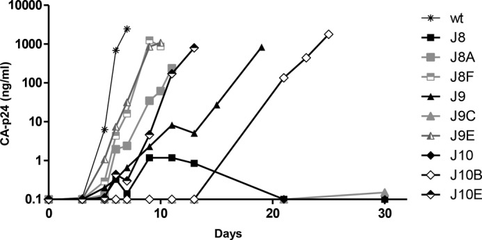 FIGURE 4.