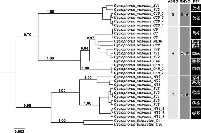 Figure 2