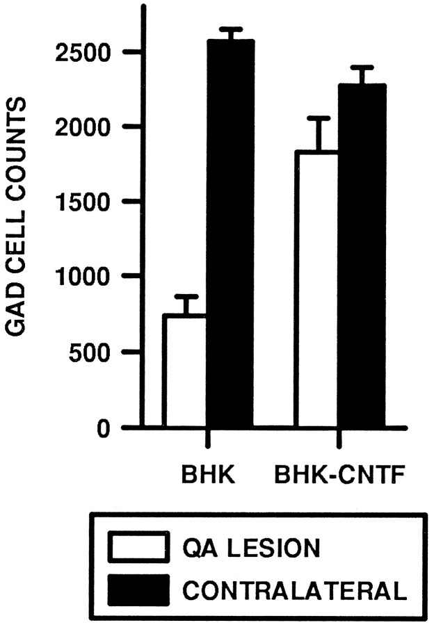 Fig. 9.