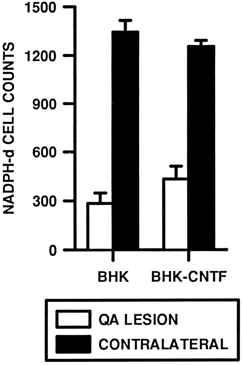 Fig. 11.