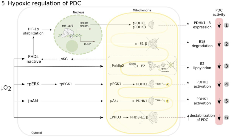 Figure 5: