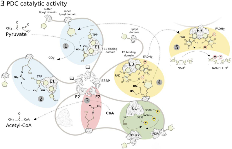 Figure 3: