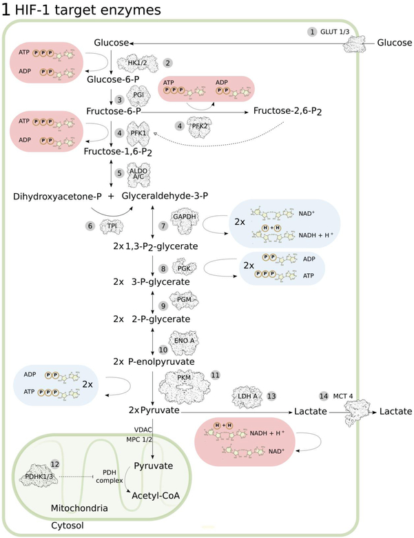 Figure 1: