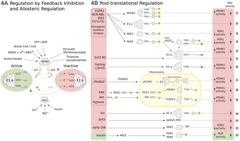 Figure 4: