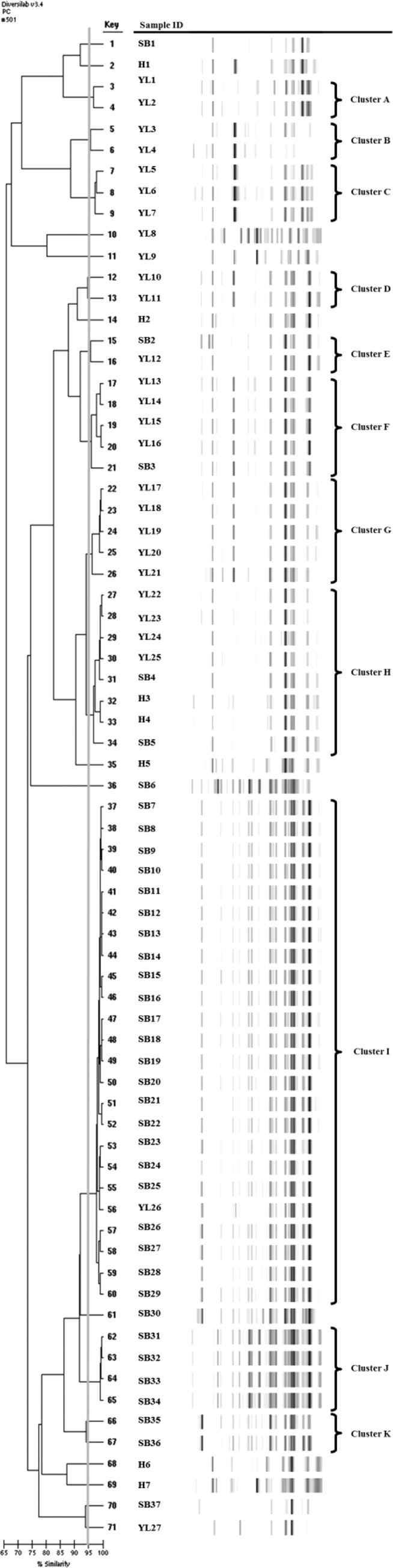 FIG 1