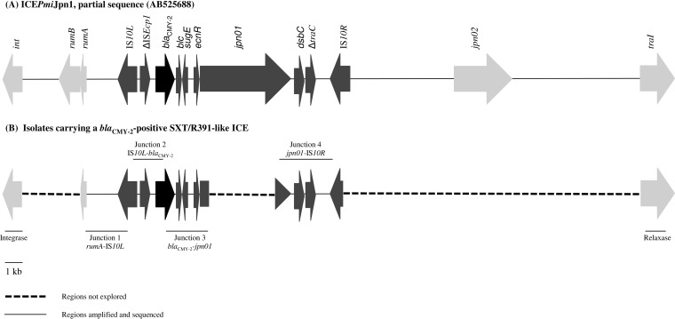 FIG 2