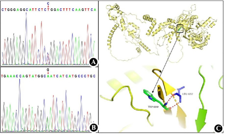 Figure 2