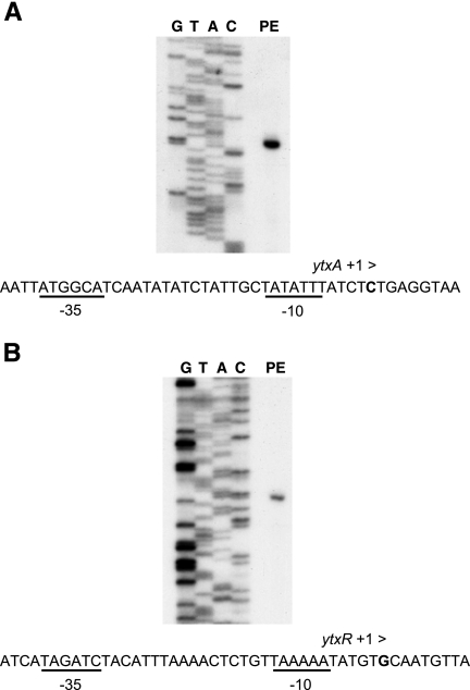 FIG. 5.