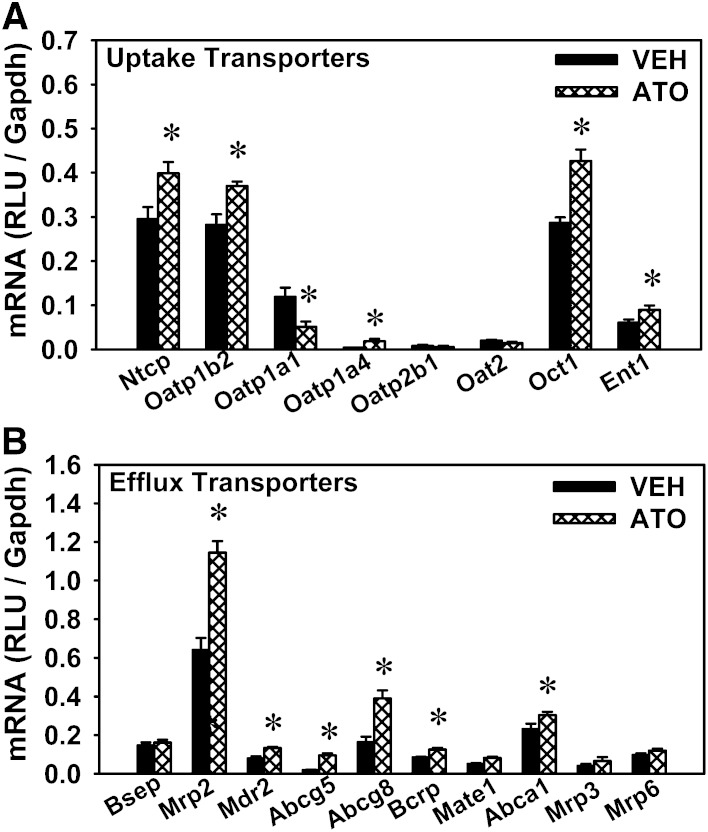 Fig. 8.