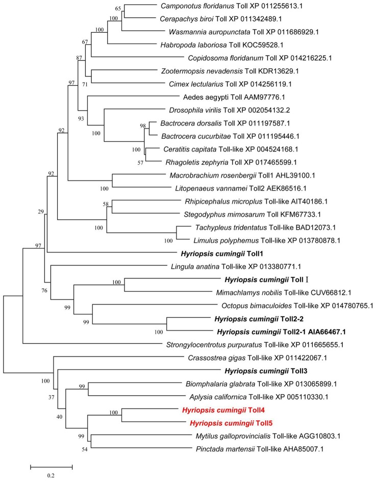 Figure 2