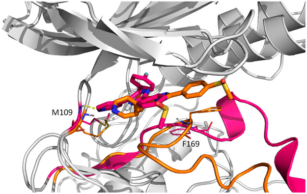 Figure 13.