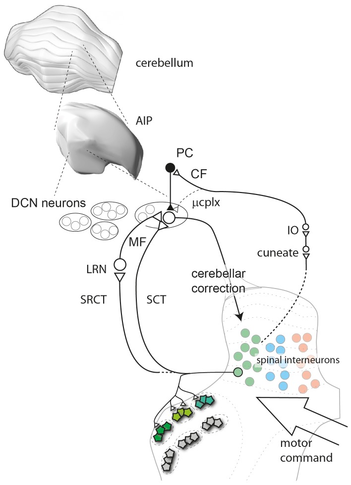 Figure 7