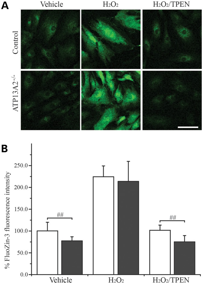 Figure 2.