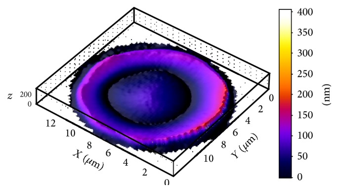 Figure 3