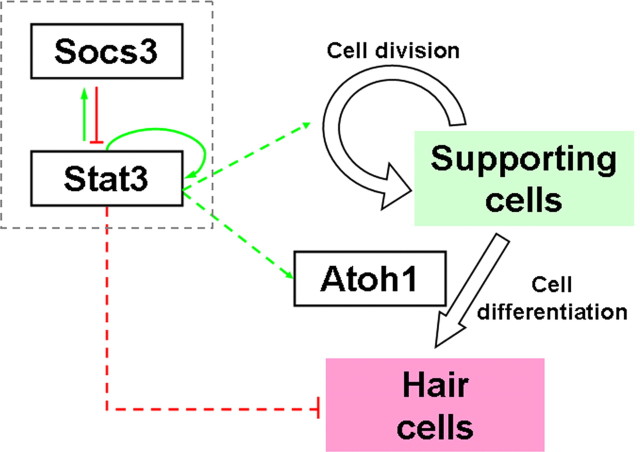 Figure 7.