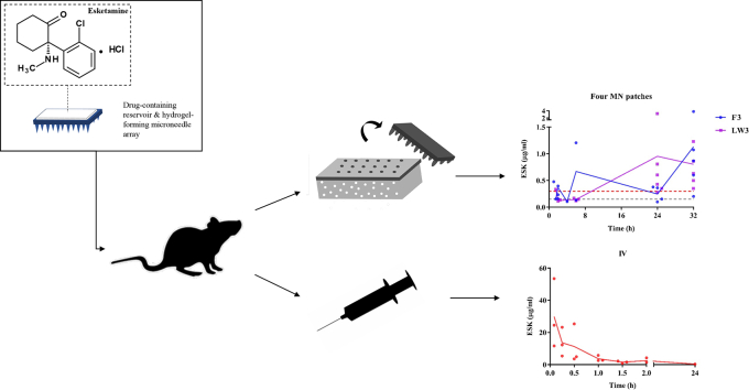 Unlabelled Image