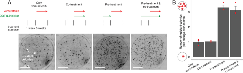 Figure 4 |