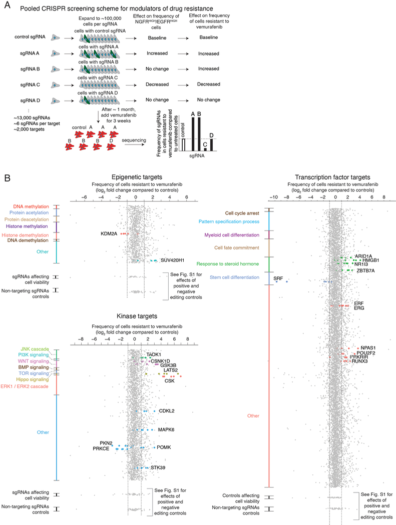 Extended Data Fig. 4: