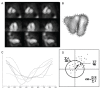 Figure 7)