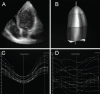 Figure 5)