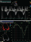 Figure 1)