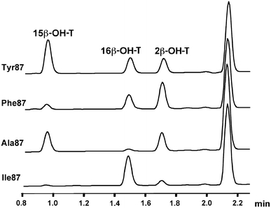 Fig. 2