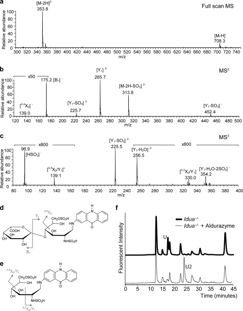 FIGURE 3.