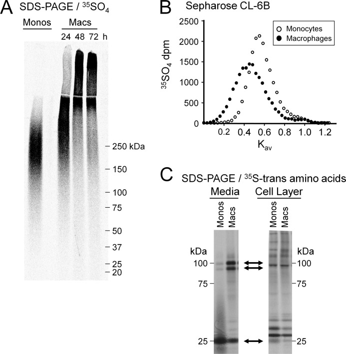 FIGURE 2.