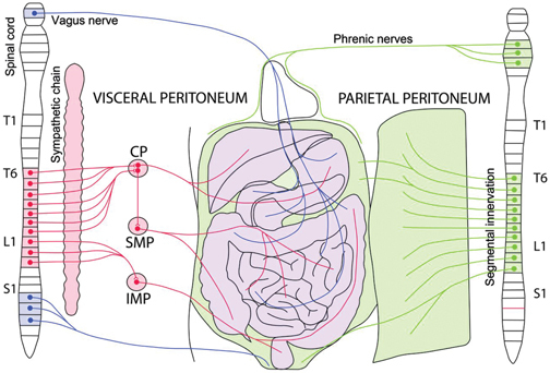 Figure 1: