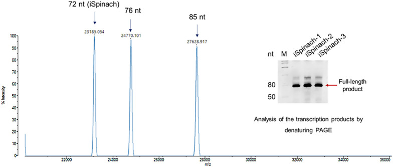 Fig. 2