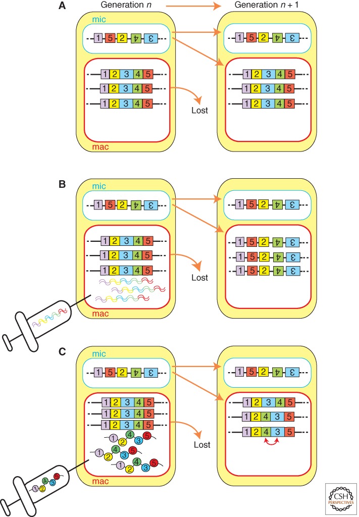 Figure 9.