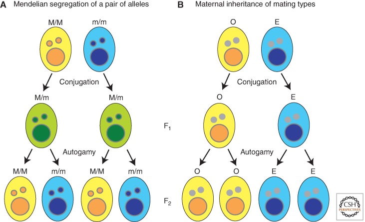 Figure 10.