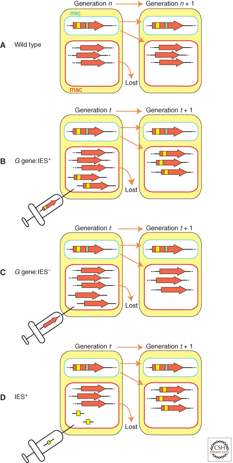 Figure 5.