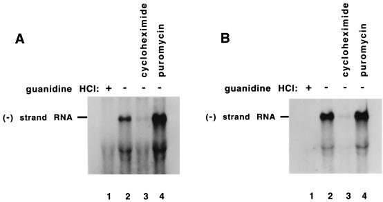 FIG. 7