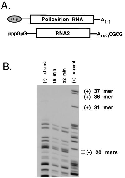 FIG. 6