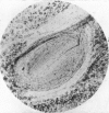 248-3
