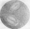 248-3
