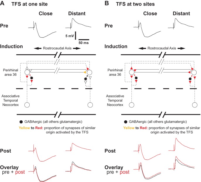 Figure 10.